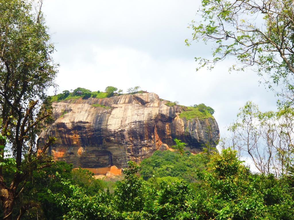 The Nilmini Lodge Sigiriya Ngoại thất bức ảnh