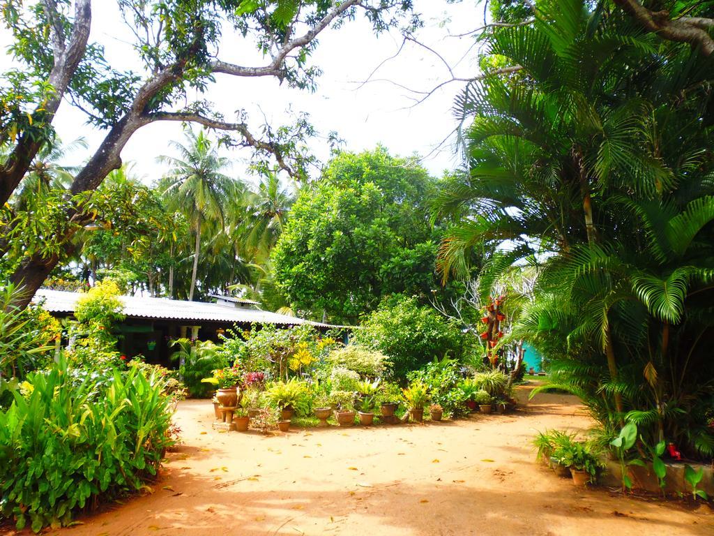 The Nilmini Lodge Sigiriya Ngoại thất bức ảnh